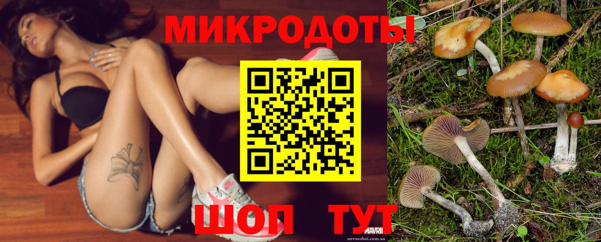 Псилоцибиновые грибы Cubensis Новотроицк