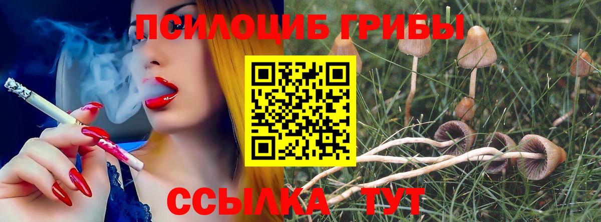 Новотроицк  Псилоцибиновые грибы ЛСД  Псилоцибиновые грибы GOLDEN TEACHER  Вход с VPN 