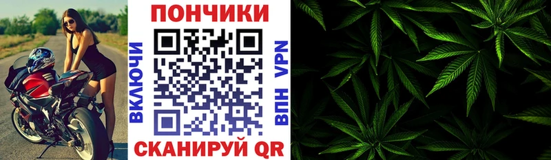 наркотики  Новотроицк  hydra tor  Каннабис план 